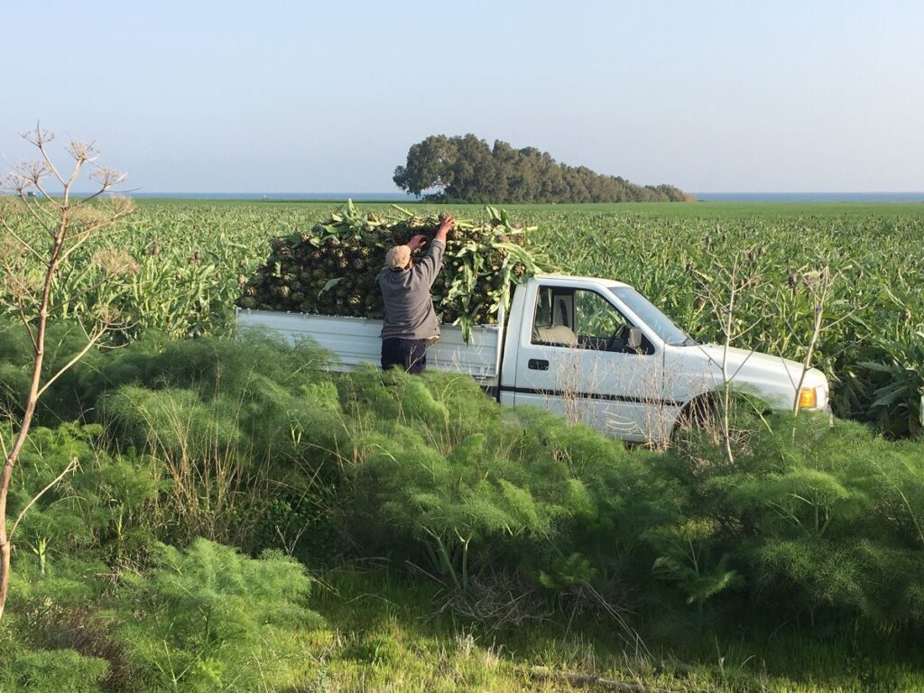A long shot of the van filled with crops